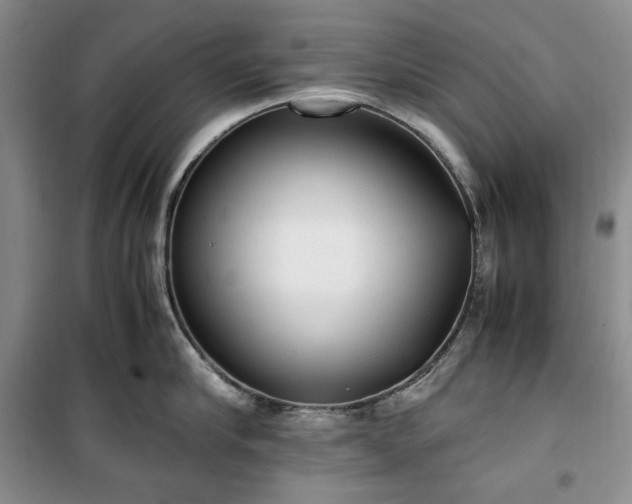 X0000100350910200806130949