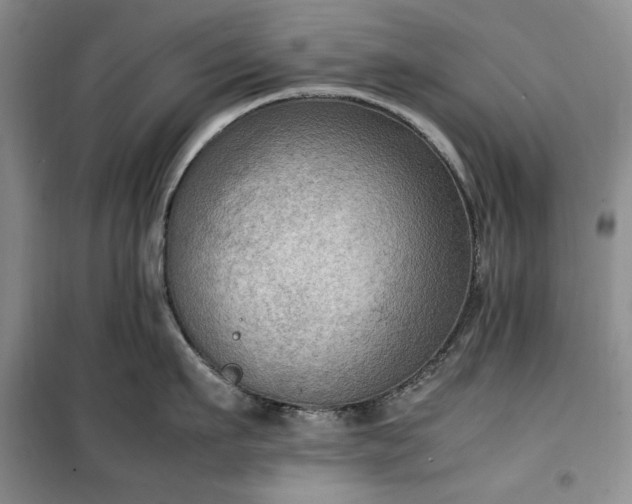 X0000100350911200806130949