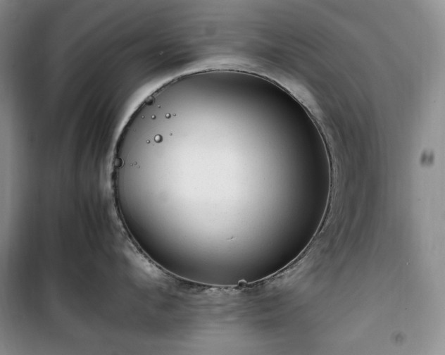 X0000100350912200806130949