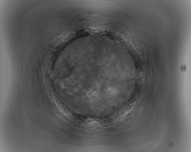 X0000100350913200806130948