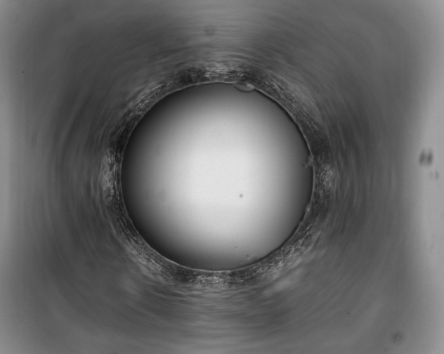 X0000100350914200806130948