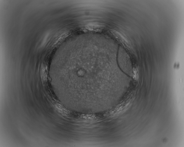 X0000100350915200806130948