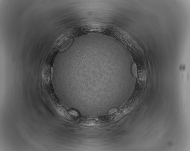X0000100350916200806130948