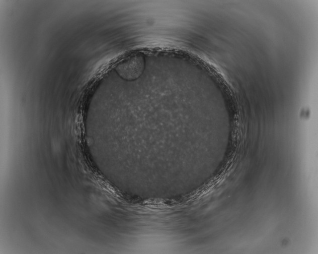 X0000100350918200806130948