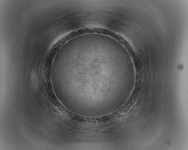 X0000100350919200806130948