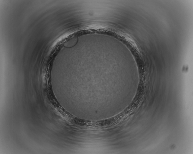 X0000100350920200806130948