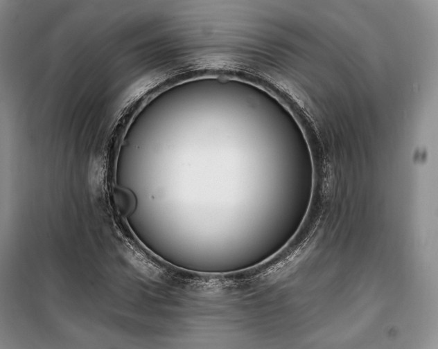 X0000100350922200806130948
