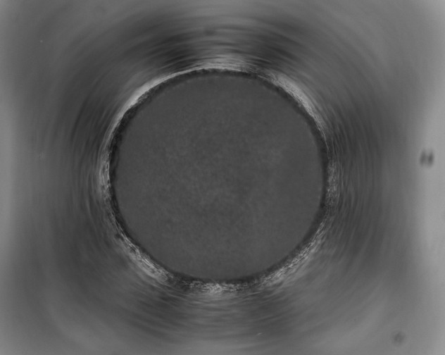 X0000100350923200806130948