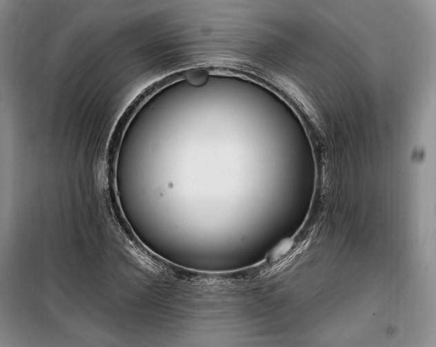 X0000100350924200806130948
