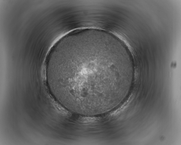 X0000100350925200806130948