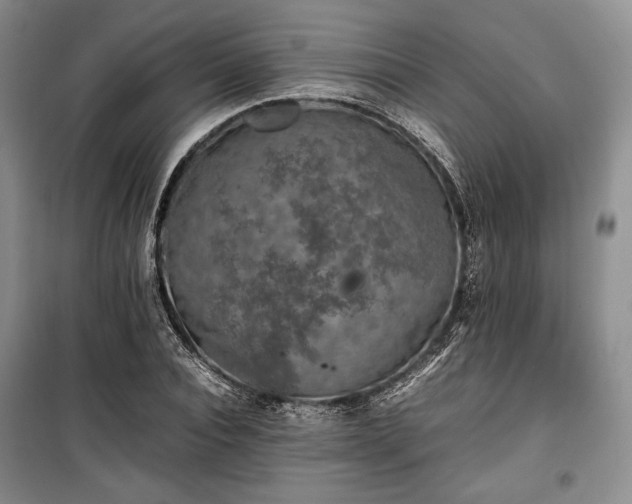 X0000100350928200806130948