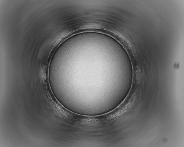 X0000100350929200806130948