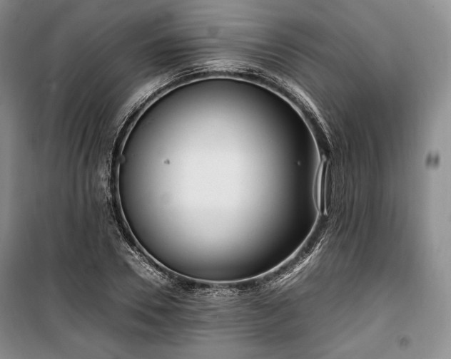X0000100350930200806130948