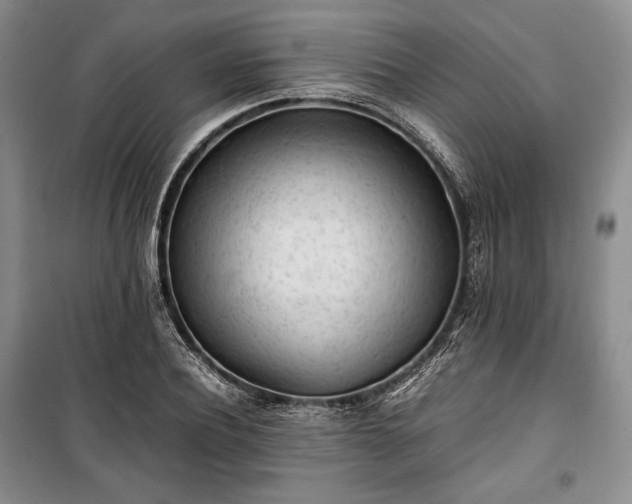 X0000100350932200806130949