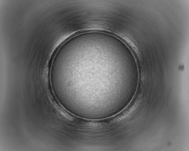 X0000100350933200806130949