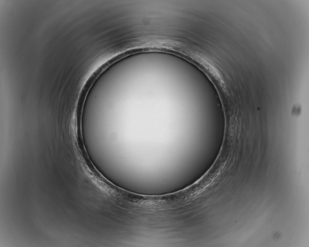 X0000100350936200806130949