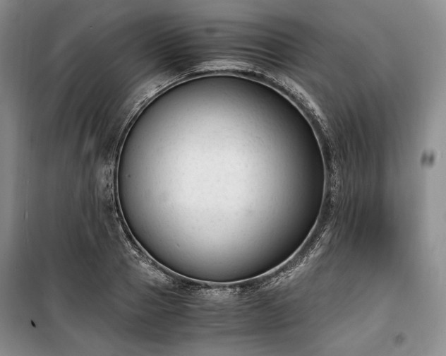 X0000100350937200806130949