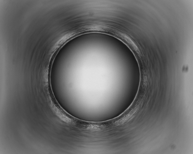 X0000100350938200806130949