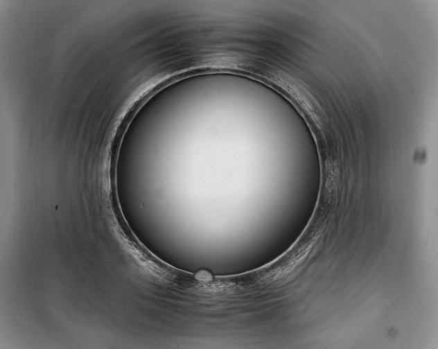 X0000100350939200806130949