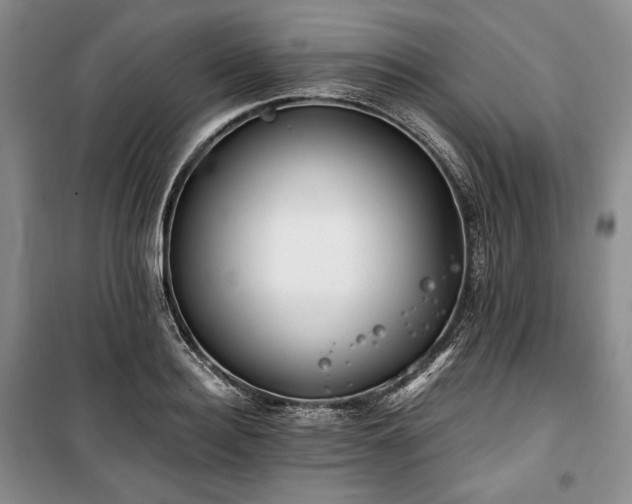 X0000100350940200806130949