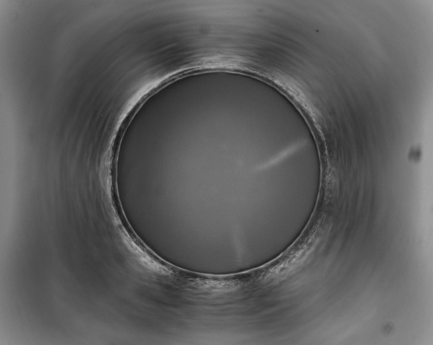 X0000100350941200806130949