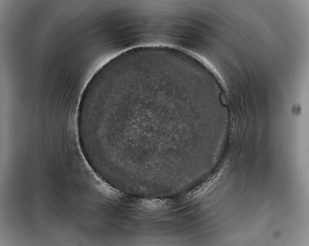 X0000100350943200806130949