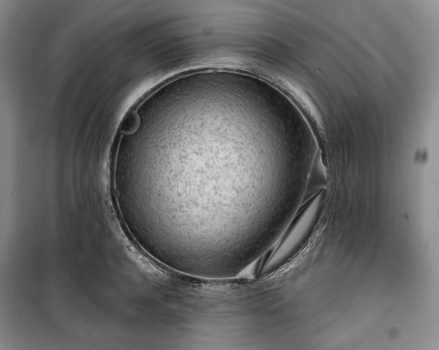 X0000100350944200806130949