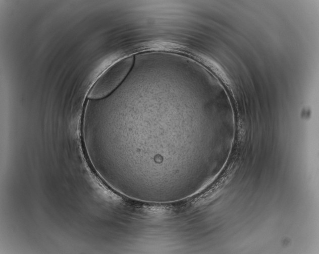 X0000100350946200806130949