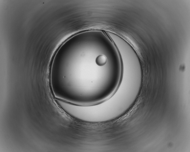 X0000100350948200806130949