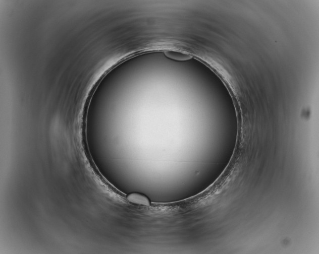 X0000100350949200806130949