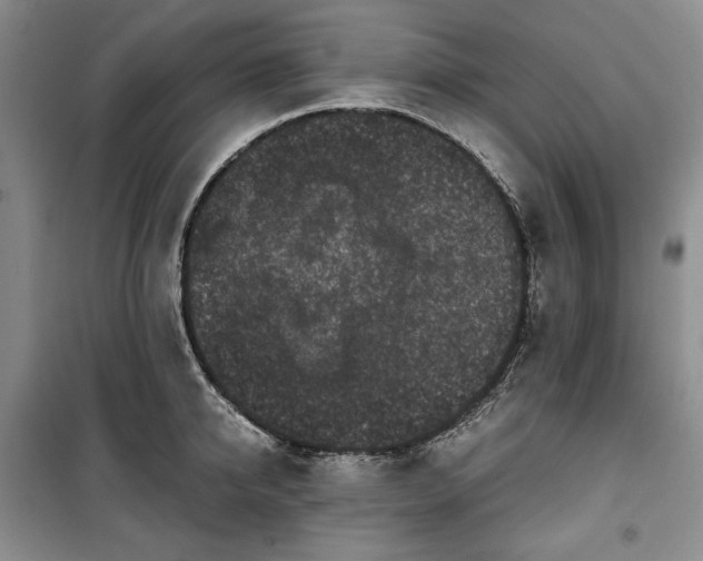 X0000100350950200806130949