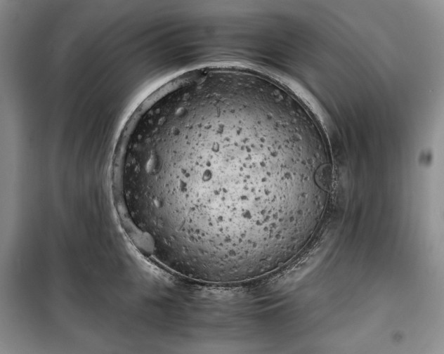 X0000100350951200806130949