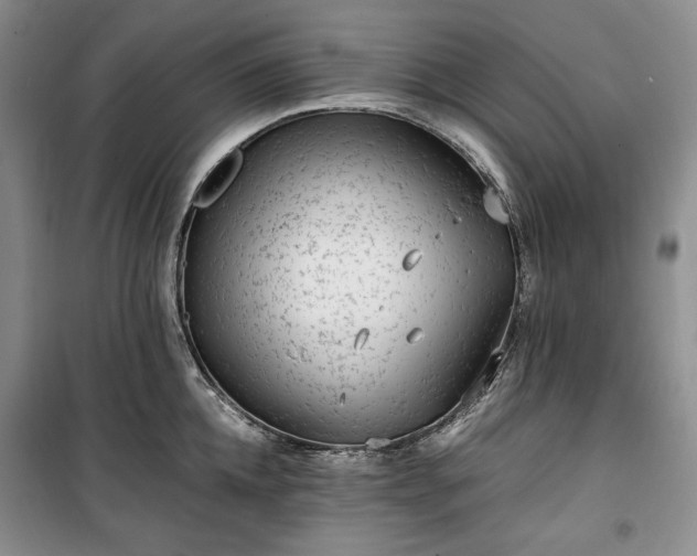 X0000100350952200806130949