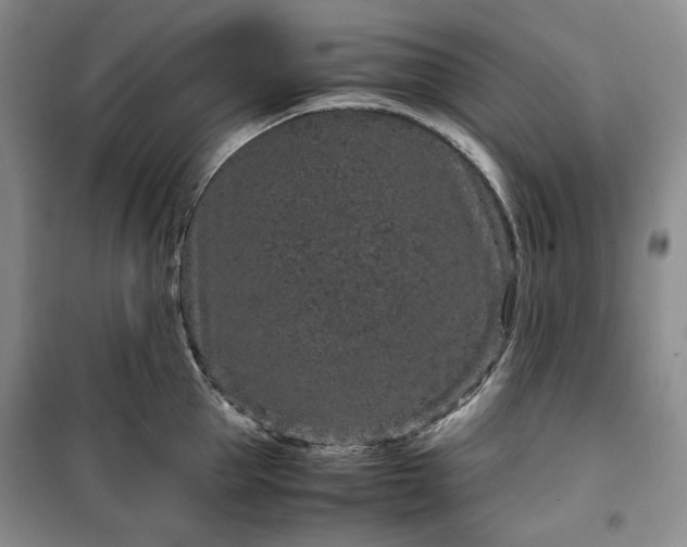 X0000100350953200806130949