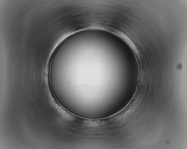 X0000100350955200806130949