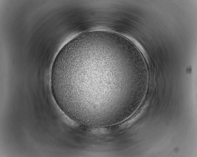 X0000100350957200806130949
