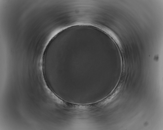 X0000100350958200806130949