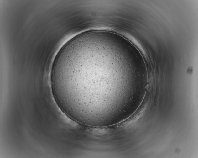 X0000100350959200806130949