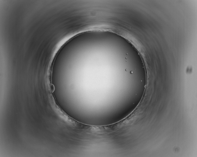 X0000100350960200806130949