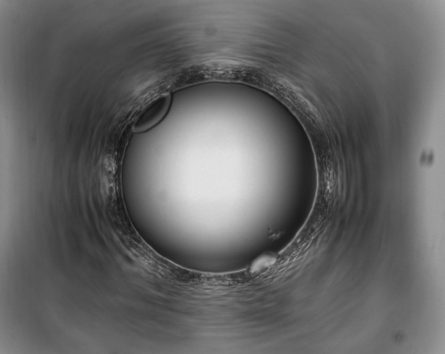 X0000100350964200806130948