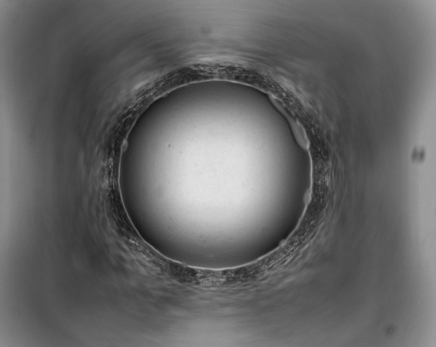 X0000100350965200806130948