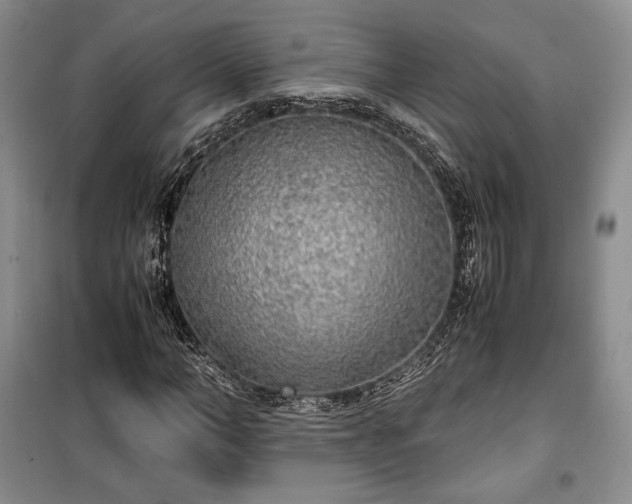 X0000100350966200806130948