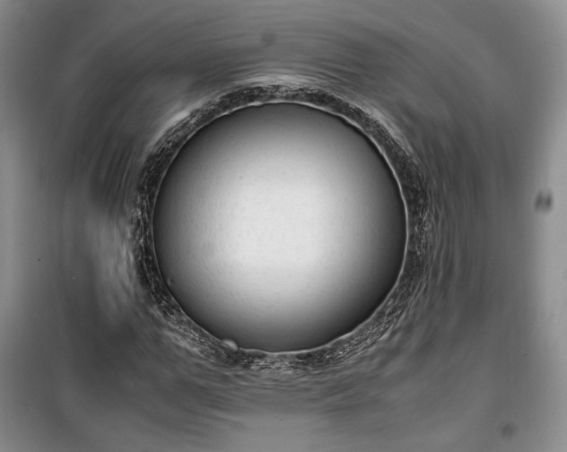 X0000100350967200806130948