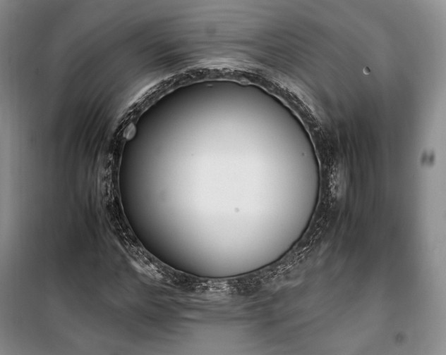 X0000100350968200806130948