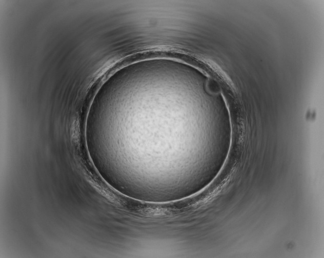 X0000100350969200806130948