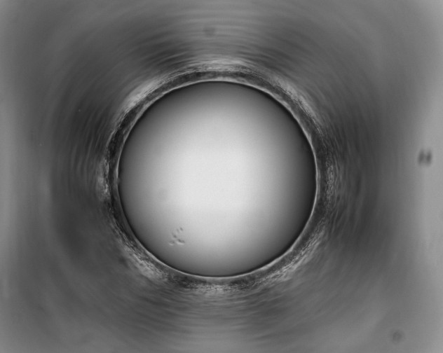 X0000100350970200806130948