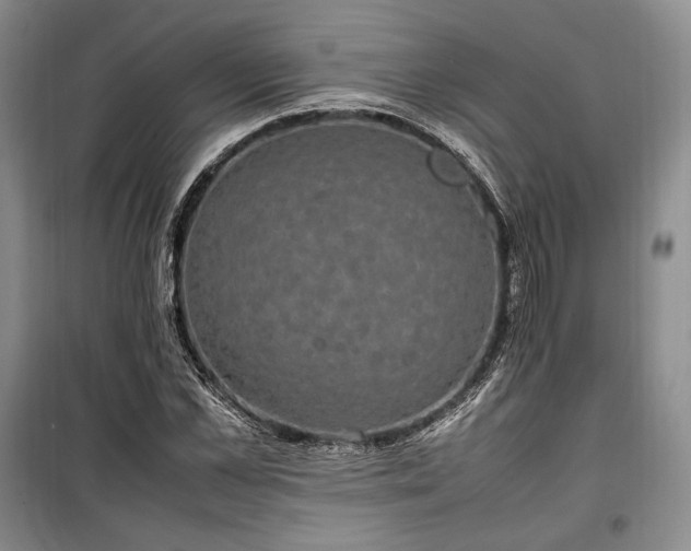 X0000100350973200806130948