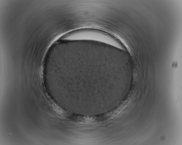 X0000100350975200806130948