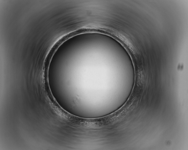 X0000100350976200806130948