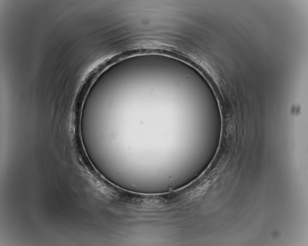 X0000100350979200806130948